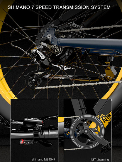 RV700 1000W 48V 16Ah Bicicletă electrică puternică Bicicletă de plajă de 26 inci Bicicletă de munte Arc de ulei actualizat Furcă de coborâre Suspensie dublă